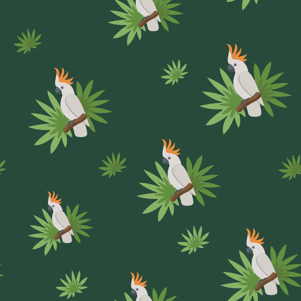 Pattern of cartoon bright cockatoo perrot with tropical leaves on the dark background vector