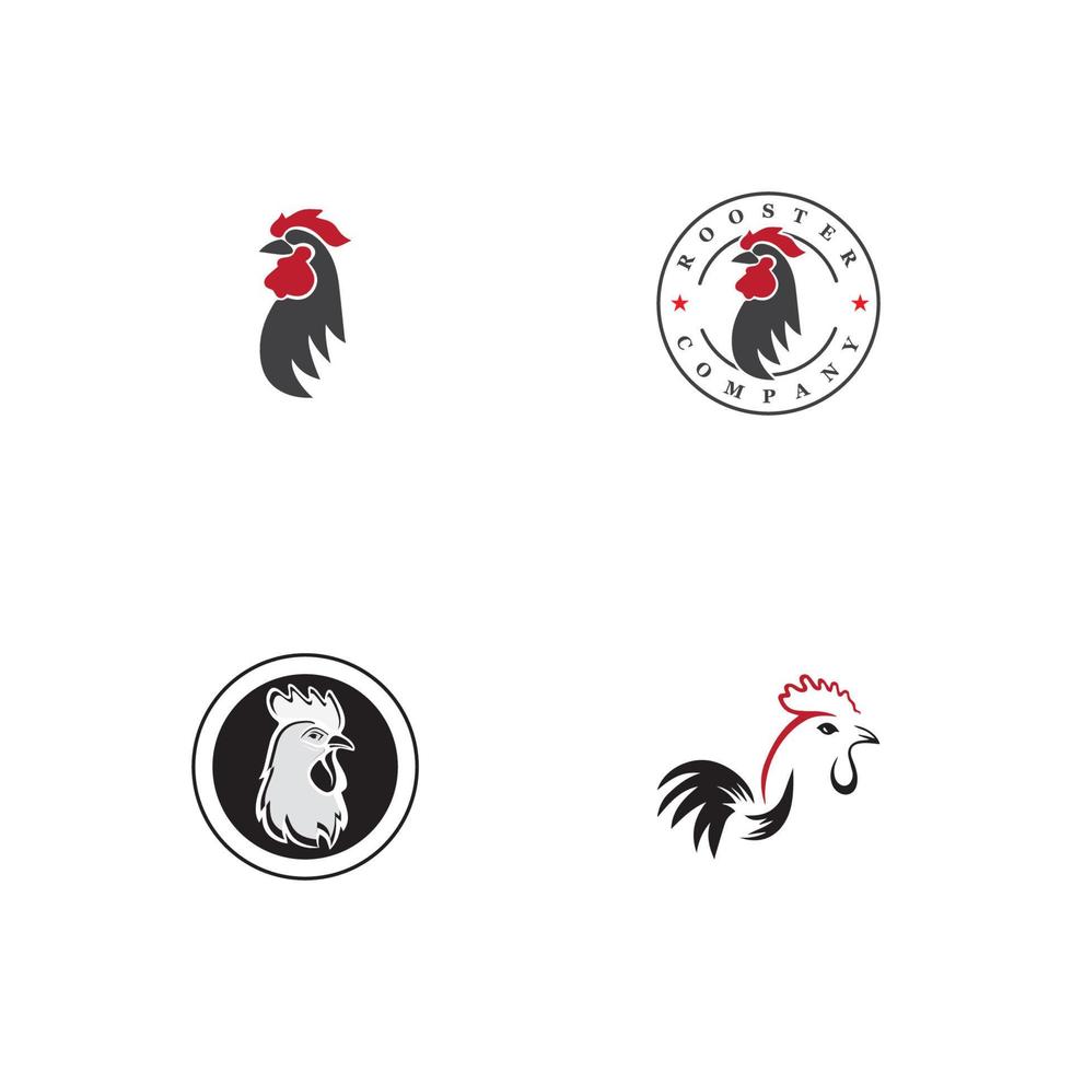 plantilla de logotipo de gallo vector