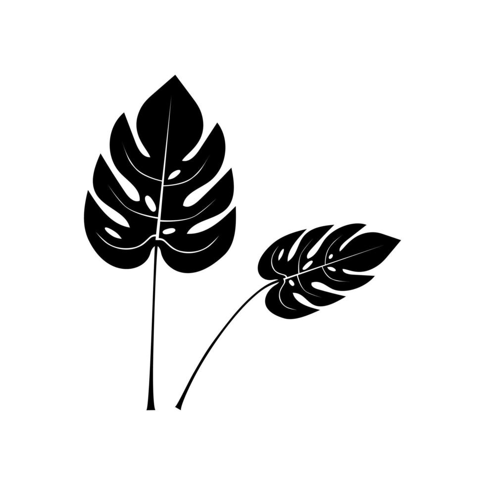 Monstera leaf black silhouettes isolated on white background. Tropical plant. Vector illustration.