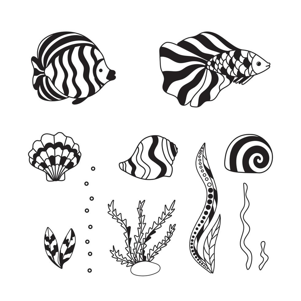 Doodle set of the underwater world with fish. Outline of shells and algae in black and white. vector