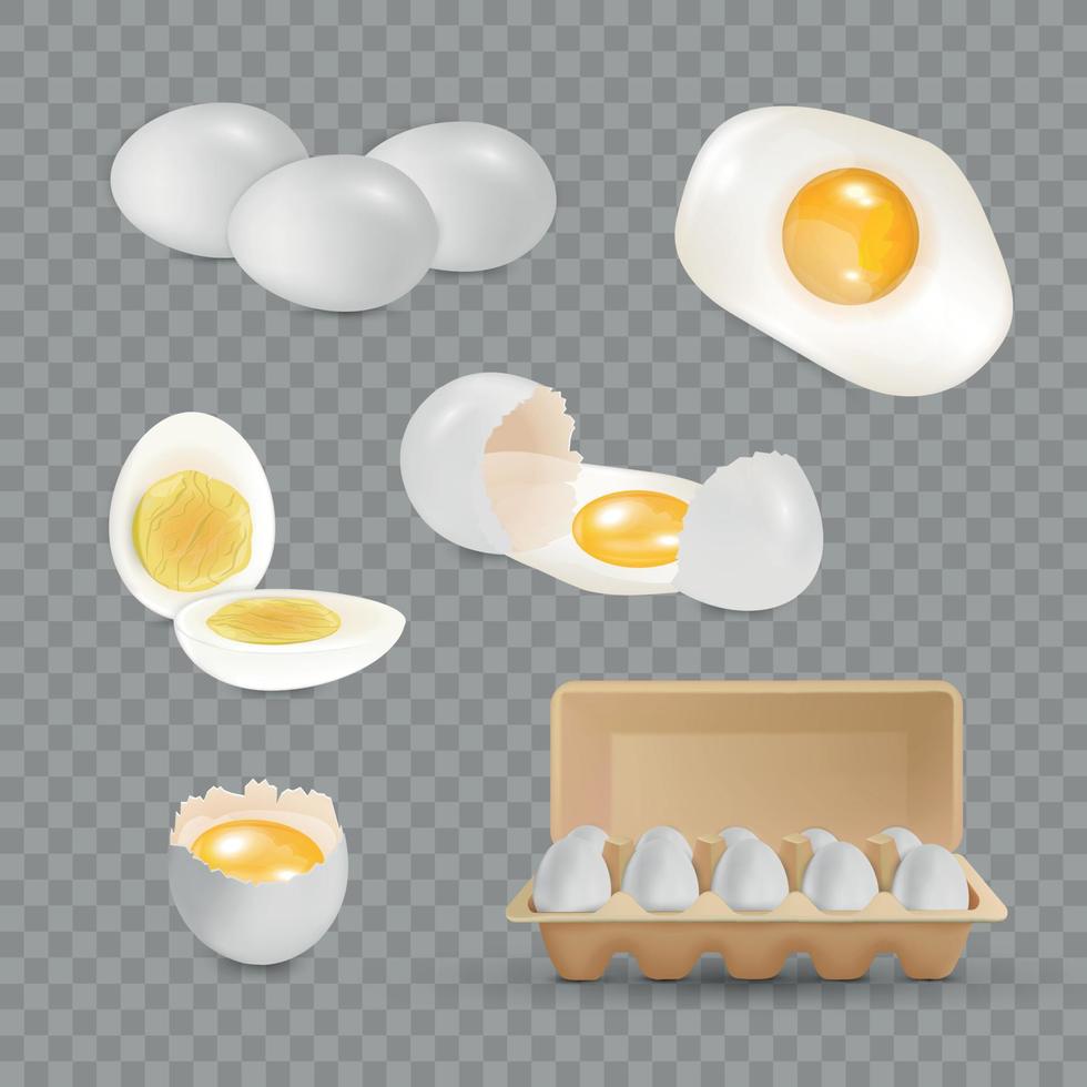 conjunto realista de huevos vector