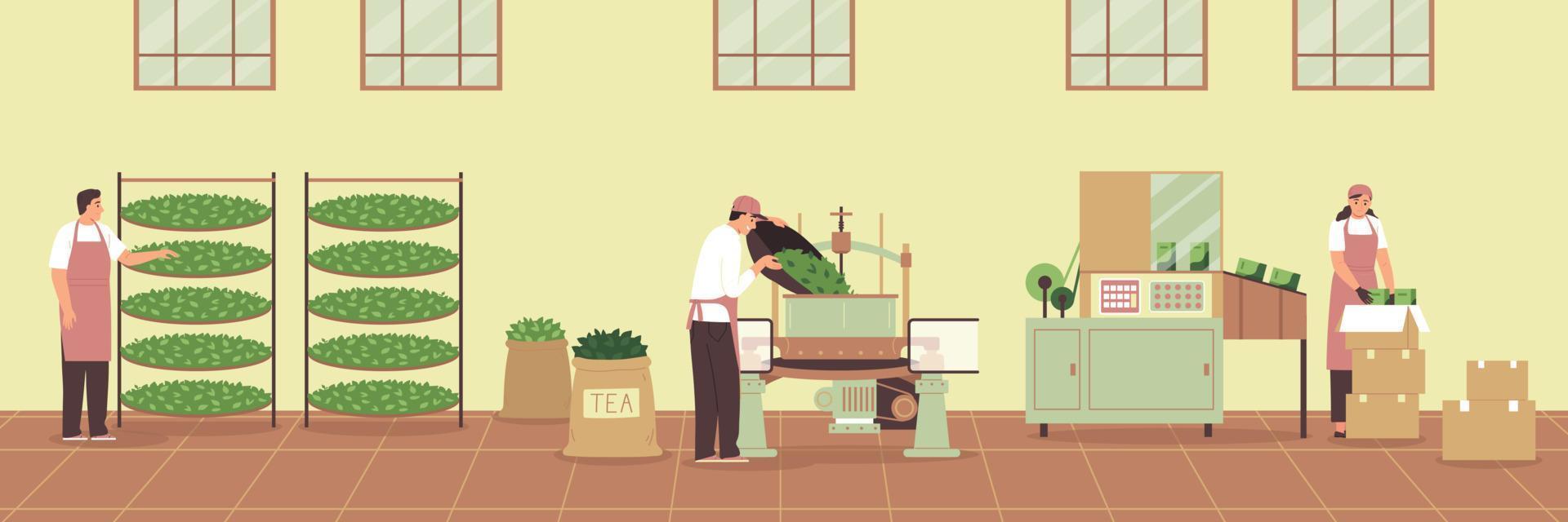 Tea Production Scene vector