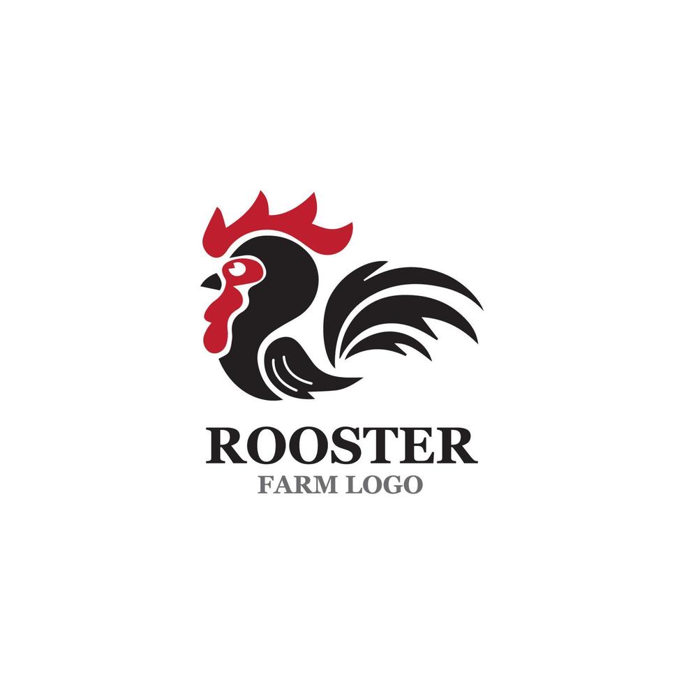 plantilla de logotipo de gallo vector