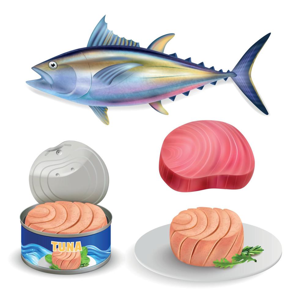 Realistic Tuna Icon Set vector