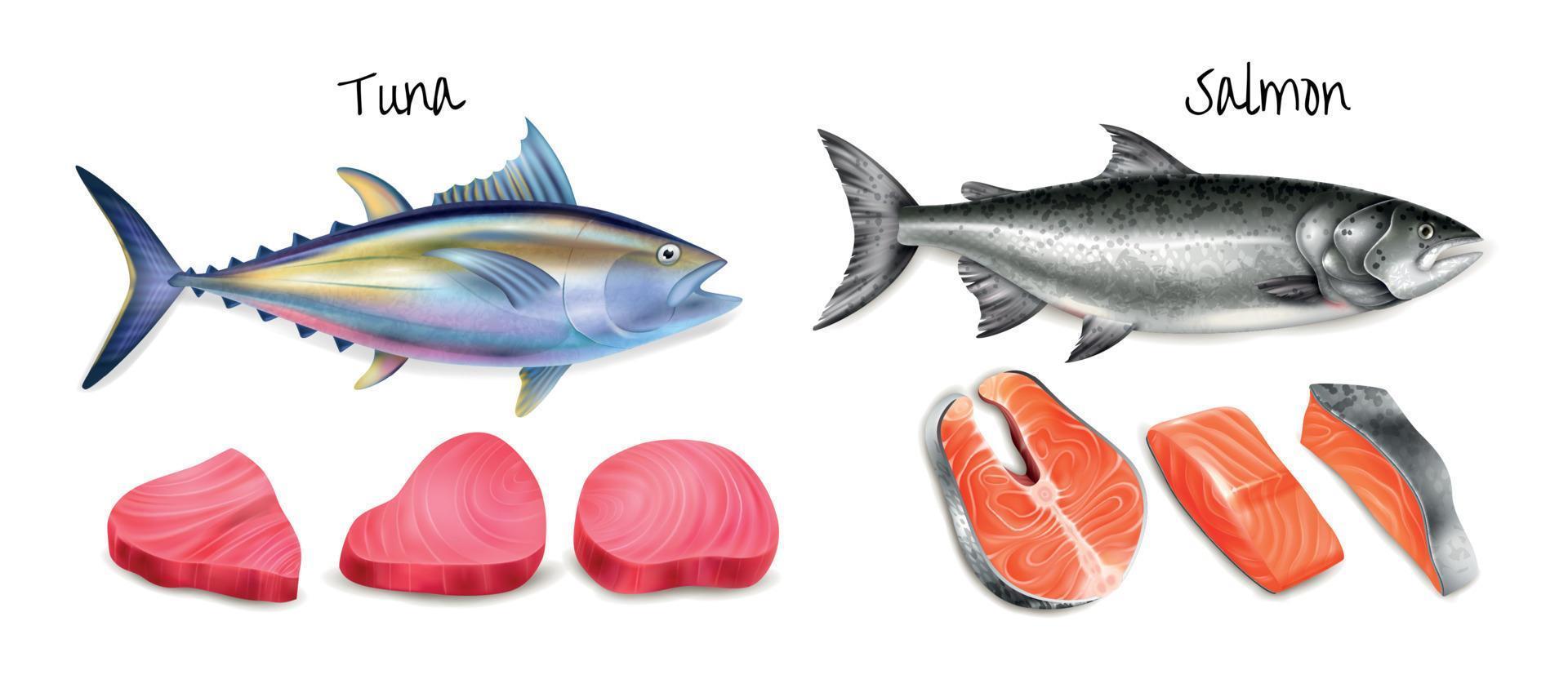 Realistic Tuna Salmon Steak Icon Set vector