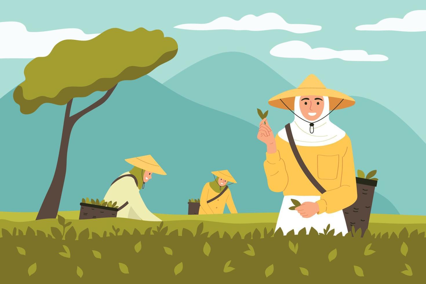 Tea Harvest Concept vector