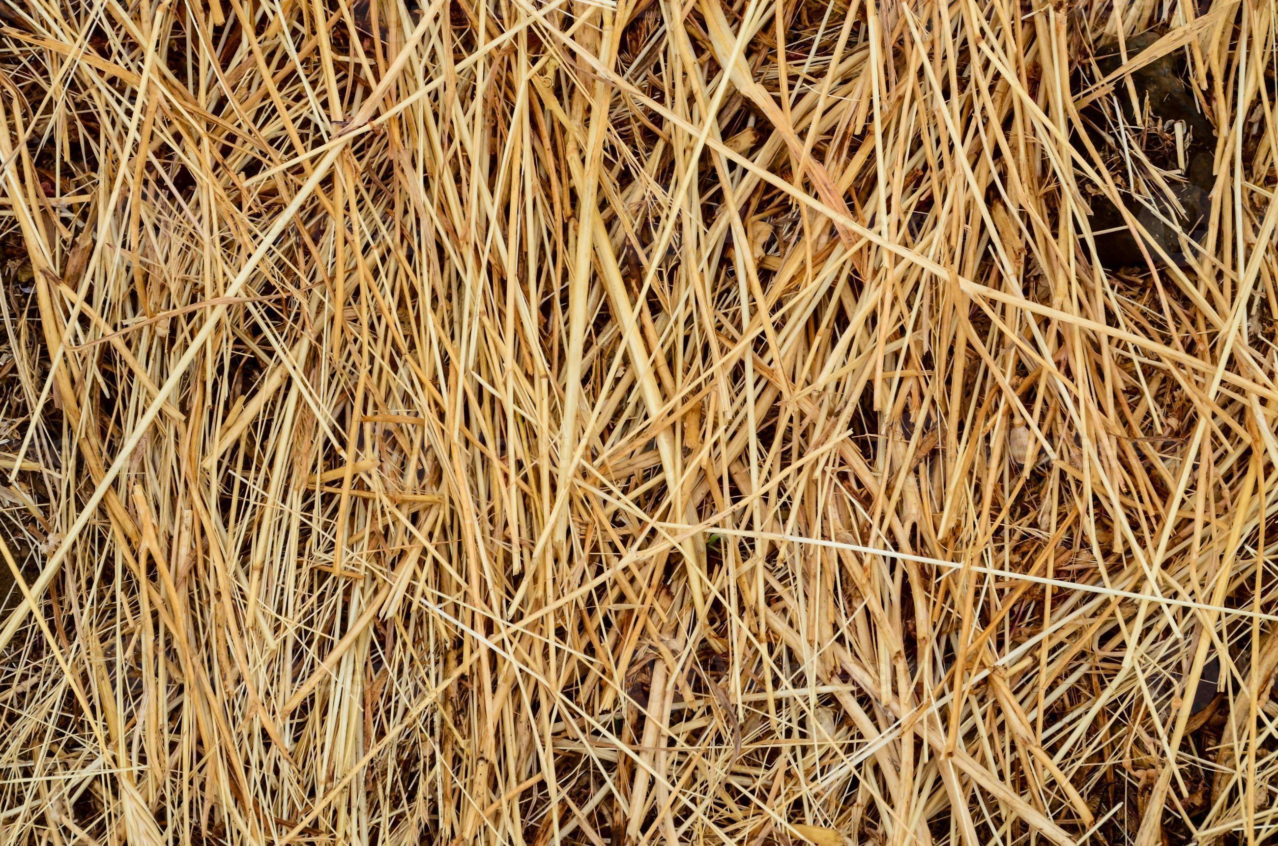 Hay bale background 8443940 Stock Photo at Vecteezy