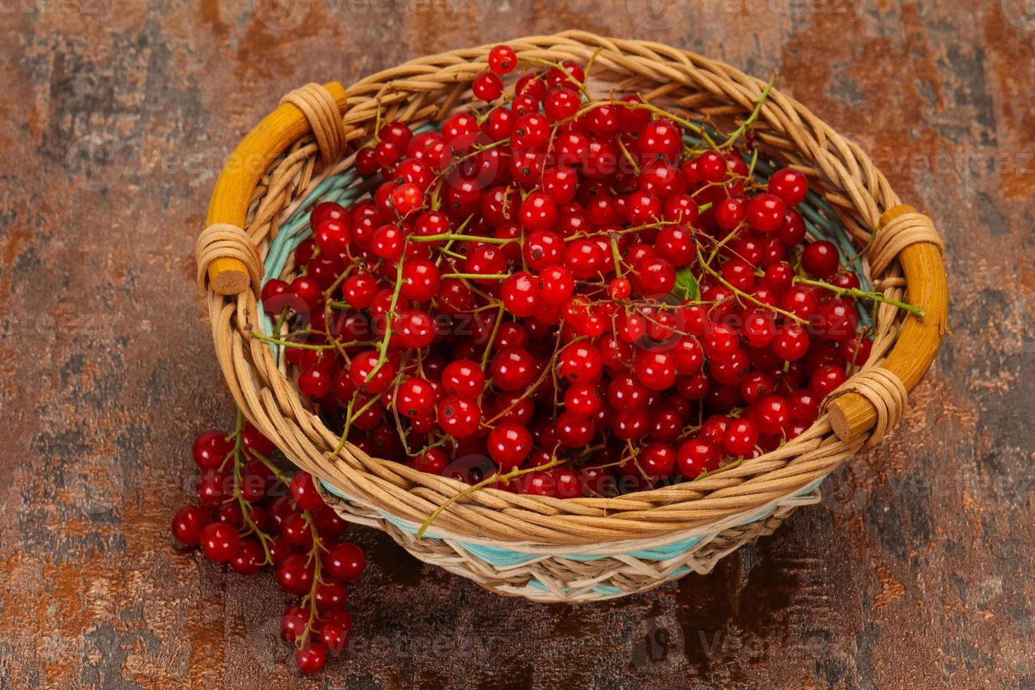 Sweet tasty fresh Red currant photo