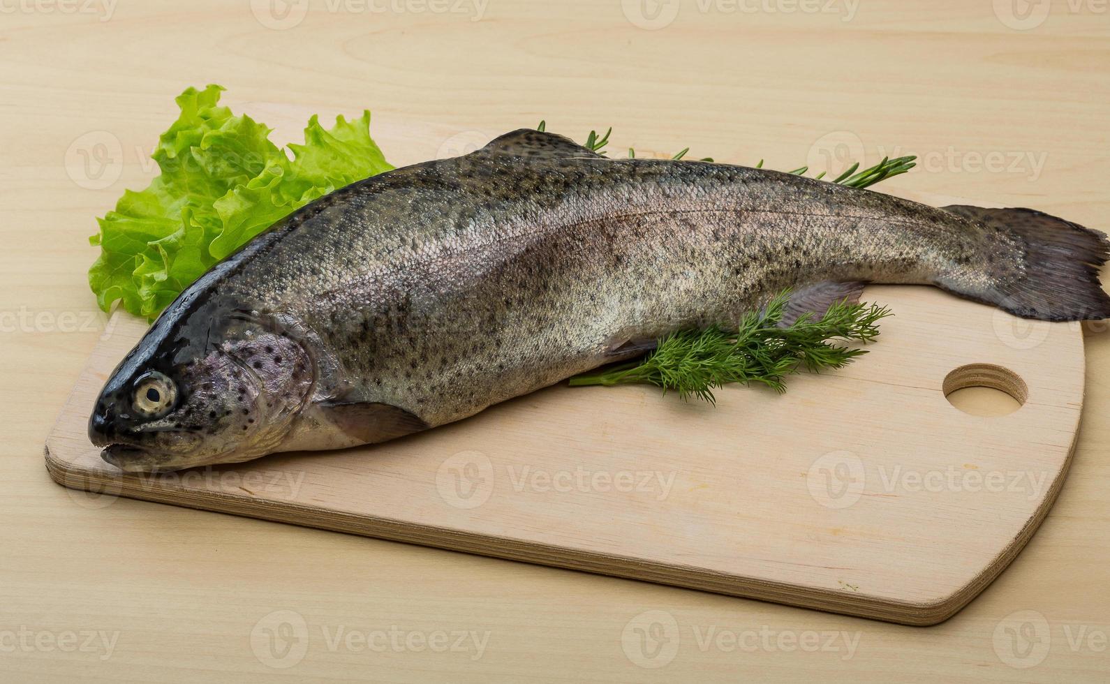 Raw fresh trout photo