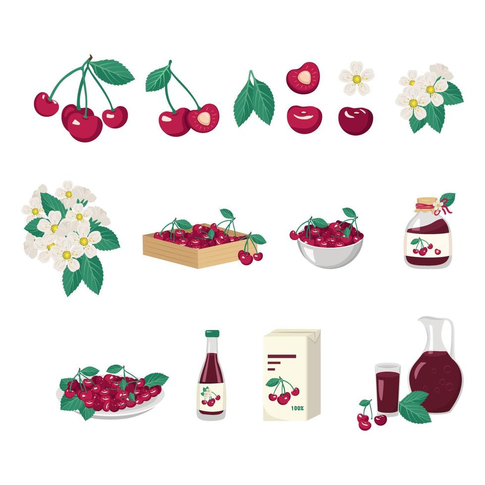 Set of red cherries, leaves, flowers and product from it. Berries in box, bowl and plate, jar of jam, packaging, bottle, glass and jug of juice. Vector flat illustration healthy sweet dessert