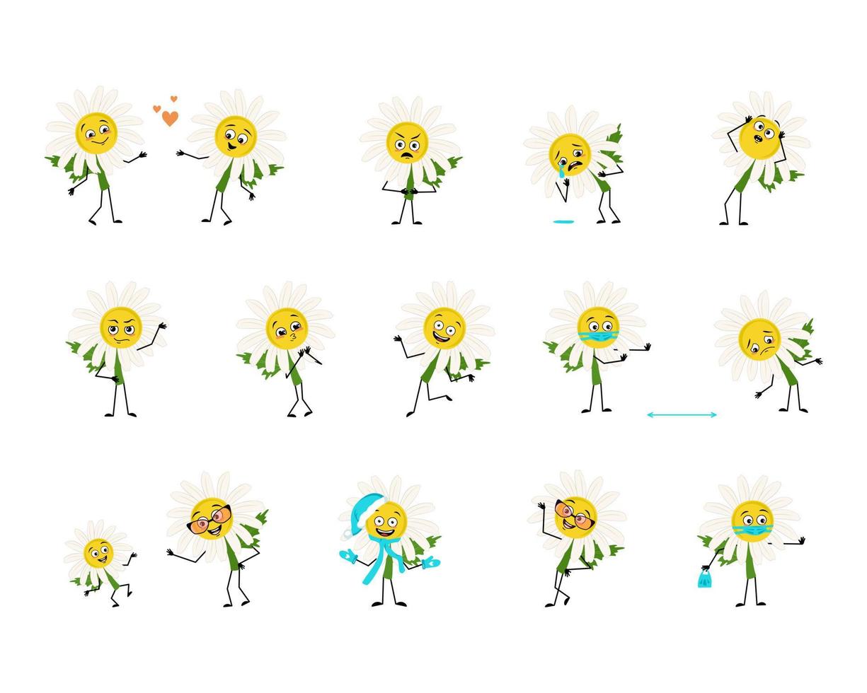 Set of chamomile character with happy or sad emotions, panic, loving or brave face, hands and legs. Person with funny expression, daisy flower hero with mask, glasses or hat. Vector flat illustration