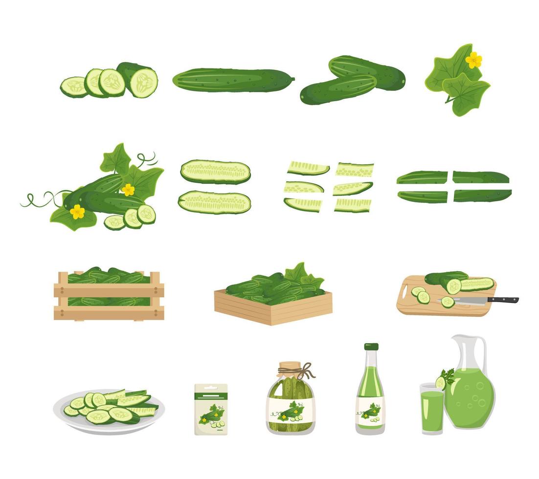 icono de pepino y producto de él. alimentos saludables, vegetales verdes, enteros y en rodajas, en caja, en plato. salado comer en tarro, conservación de alimentos. jugo de pepino en botella, vaso y jarra. ilustración vectorial vector