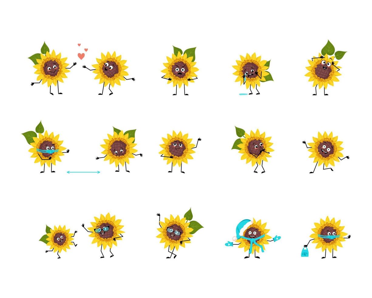 Sunflower character with happy or sad emotions, panic, loving or brave face, hands and legs. Plant person with mask, glasses or hat. Vector flat illustration