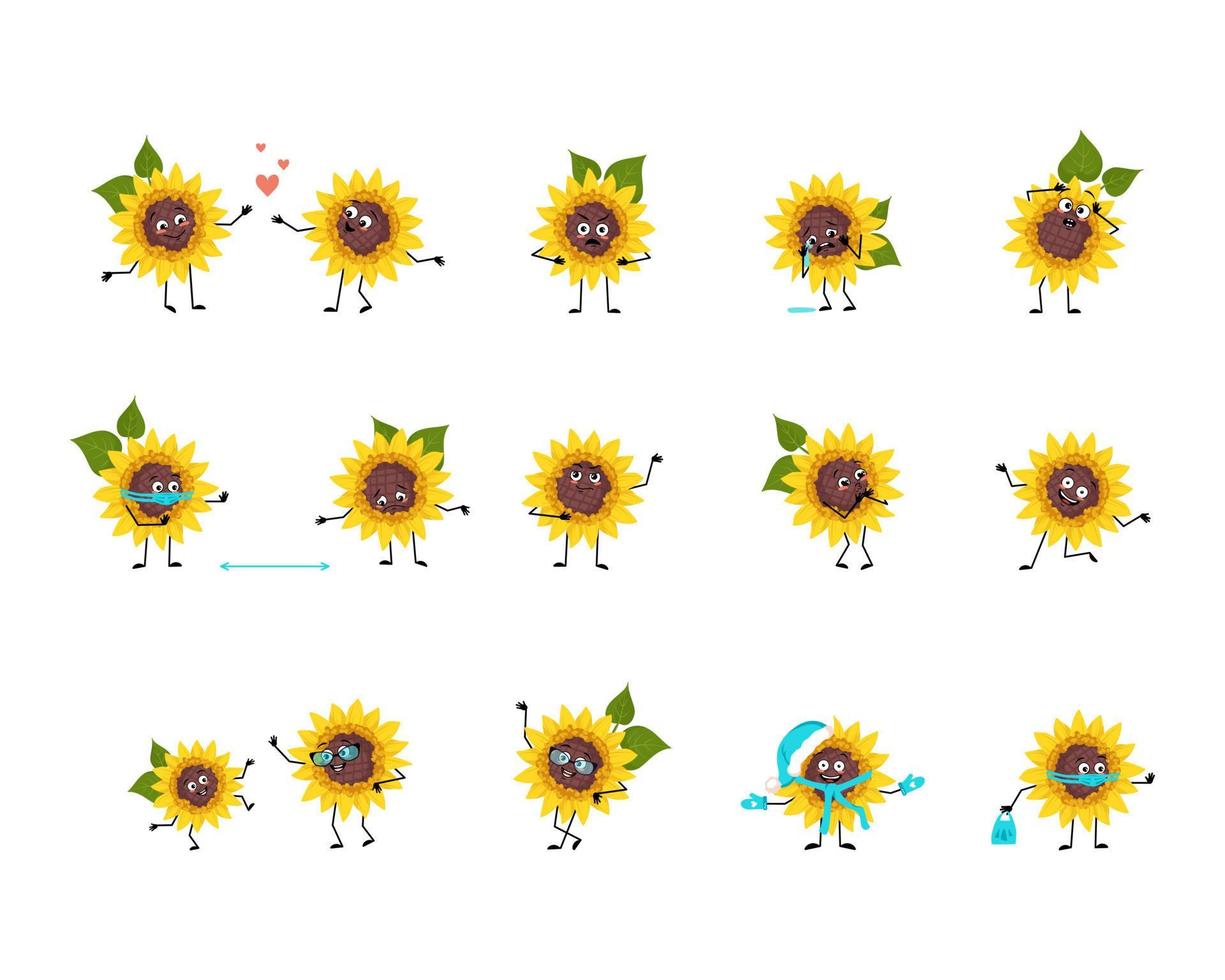 personaje de girasol con emociones felices o tristes, pánico, cara, manos y piernas amorosas o valientes. planta persona con máscara, gafas o sombrero. ilustración plana vectorial vector