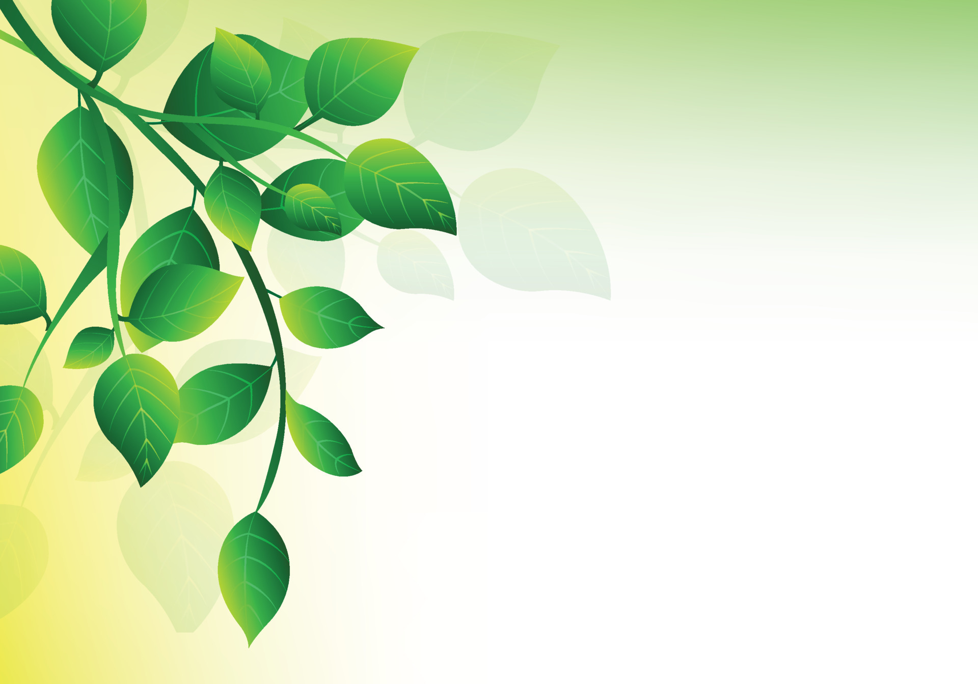 Modern decorative green leaves background 8449839 Vector Art at Vecteezy