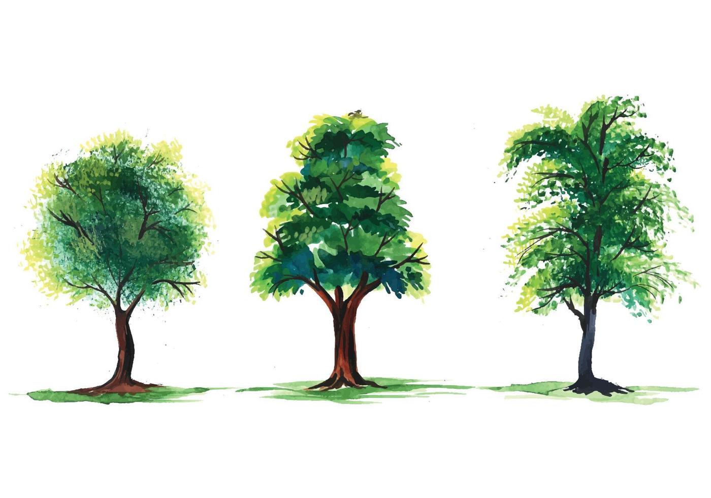 Set of various watercolor trees on transparent background vector