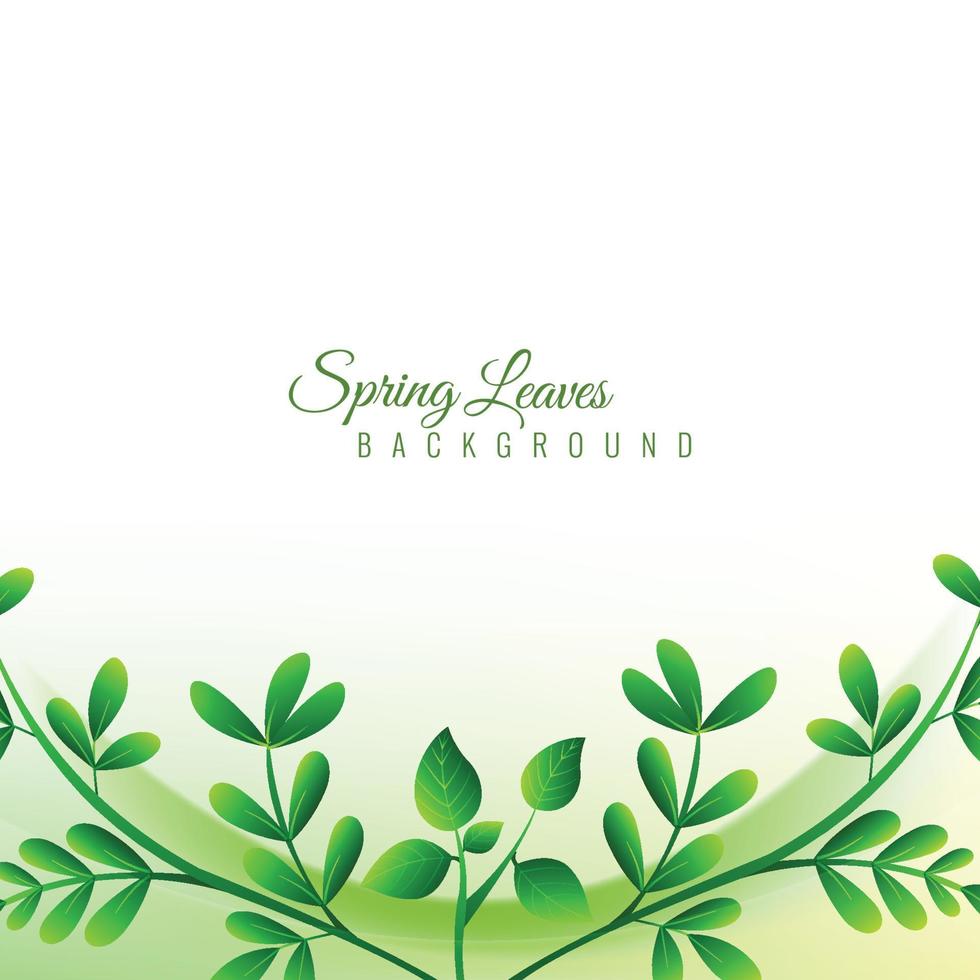 Modern spring green leaves background vector