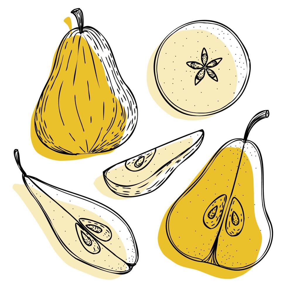 Vector pear set, pears, slice, half, whole, and leaves, seeds. Yellow abstract hand-drawn fruit collection with black outline isolated on white background.