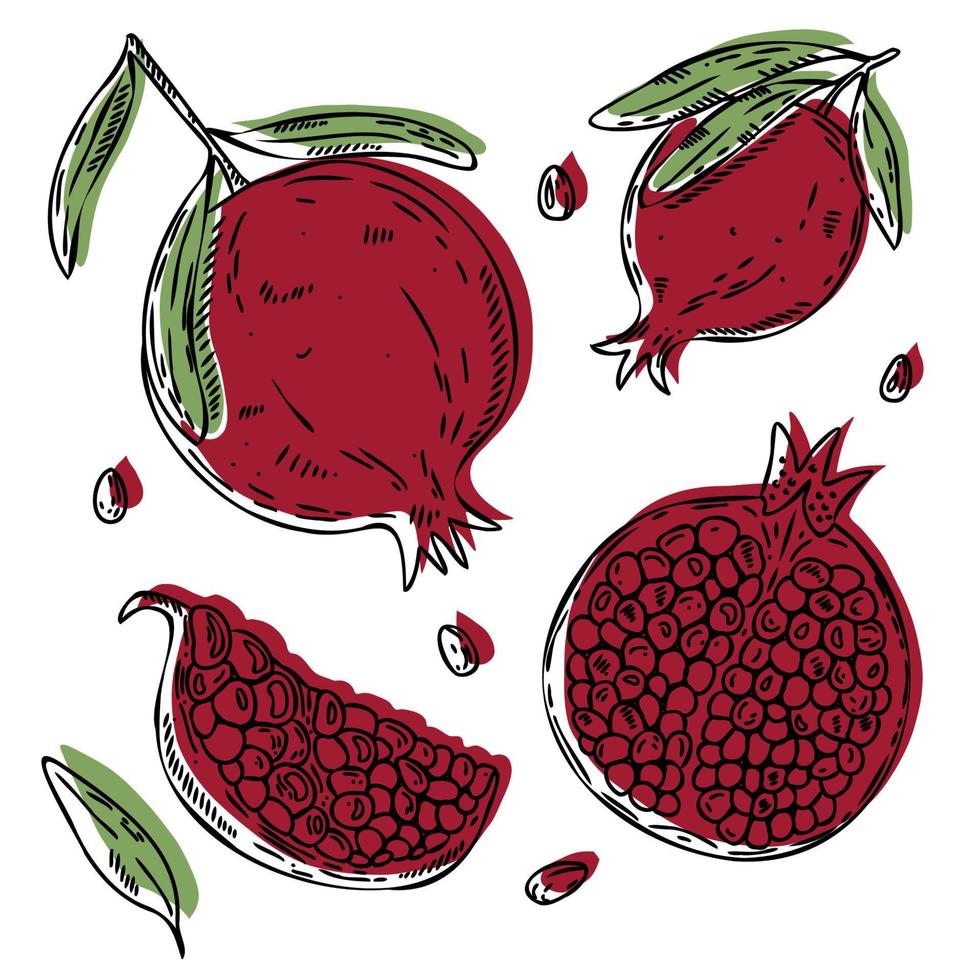 Vector Pomegranate set - slice, half, whole, and leaves, seeds. Red and  green abstract hand-drawn fruit collection with black outline isolated on  white background. 8450023 Vector Art at Vecteezy