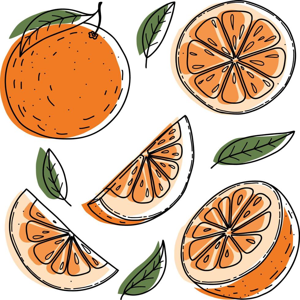 Vector orange set, orange, slice, half, whole, and leaves. Green abstract hand-drawn citrus collection with black outline isolated on white background.