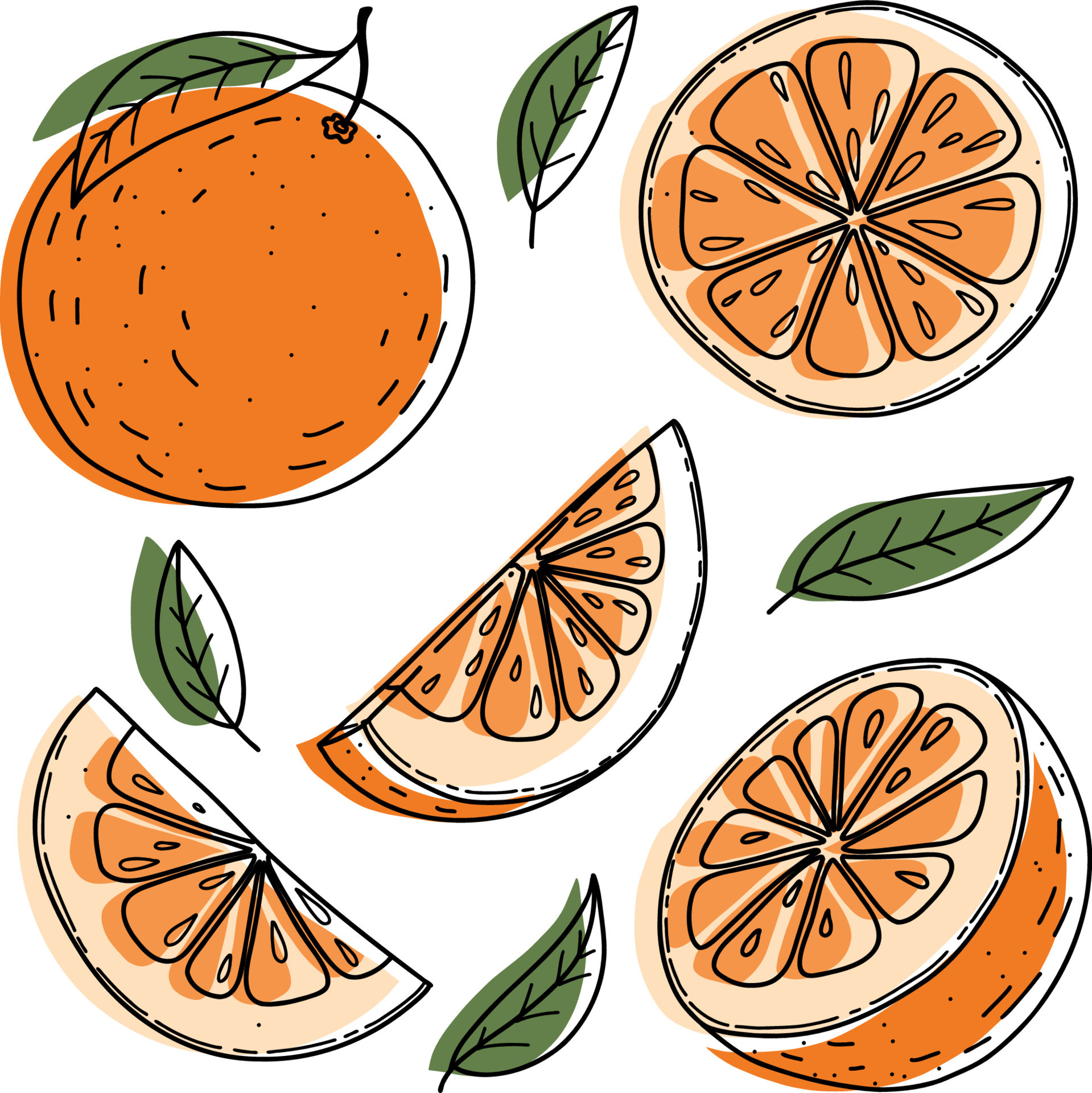 Vector orange set, orange, slice, half, whole, and leaves. Green