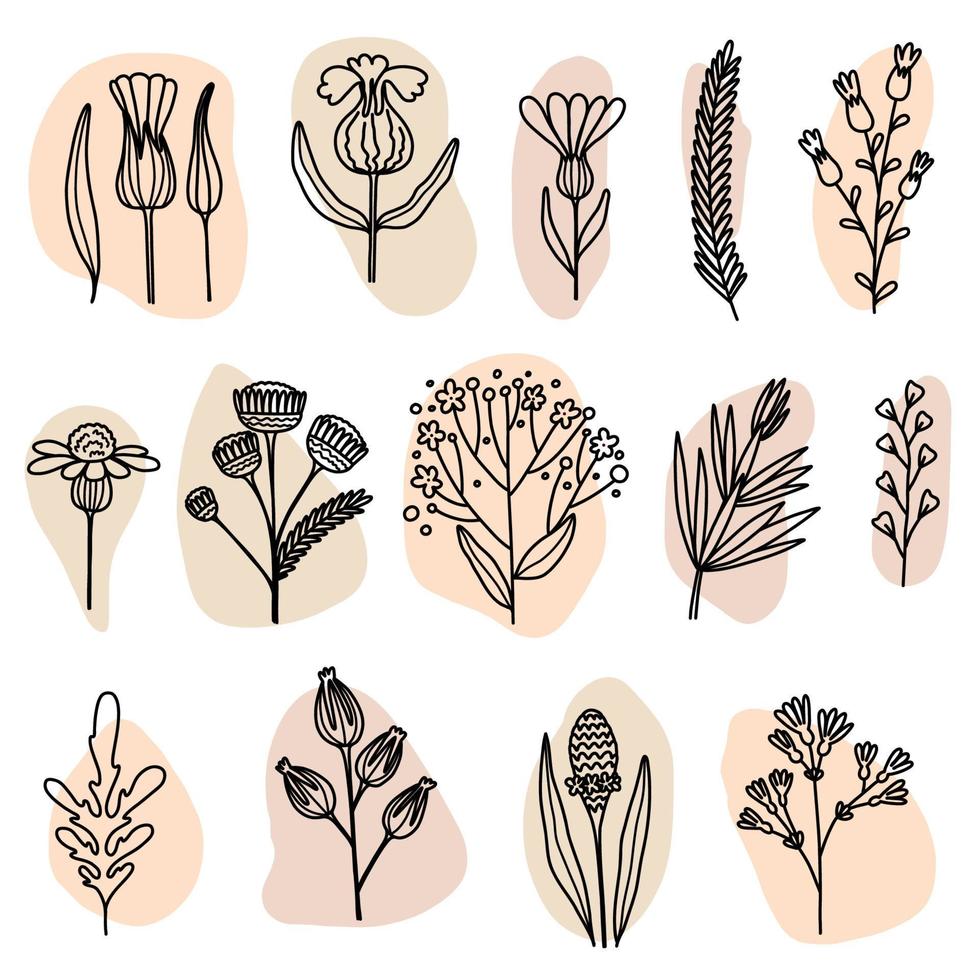 Flower graphic design. Vector set of floral elements with hand drawn flowers on light orange stains