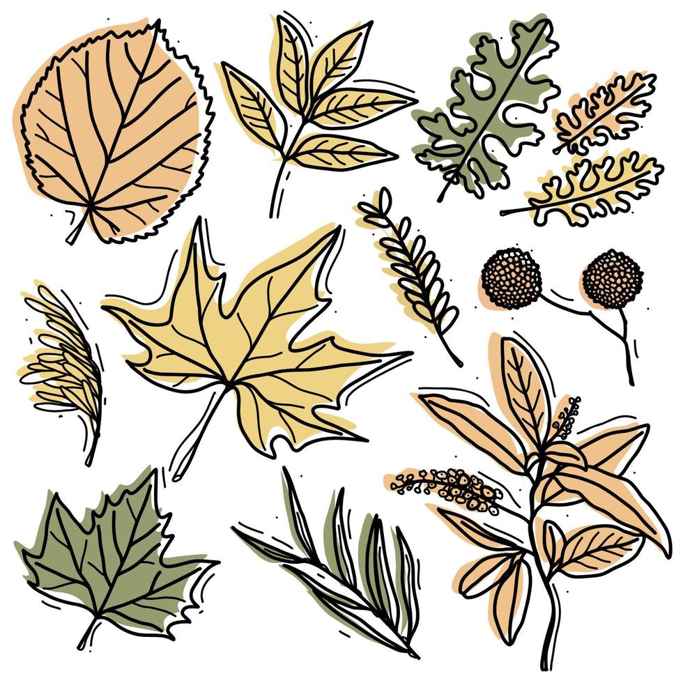 Autumn leaf set - sycamore, linden, ash, maple and other twigs. Leaves for patterns, stickers, prints and decor vector