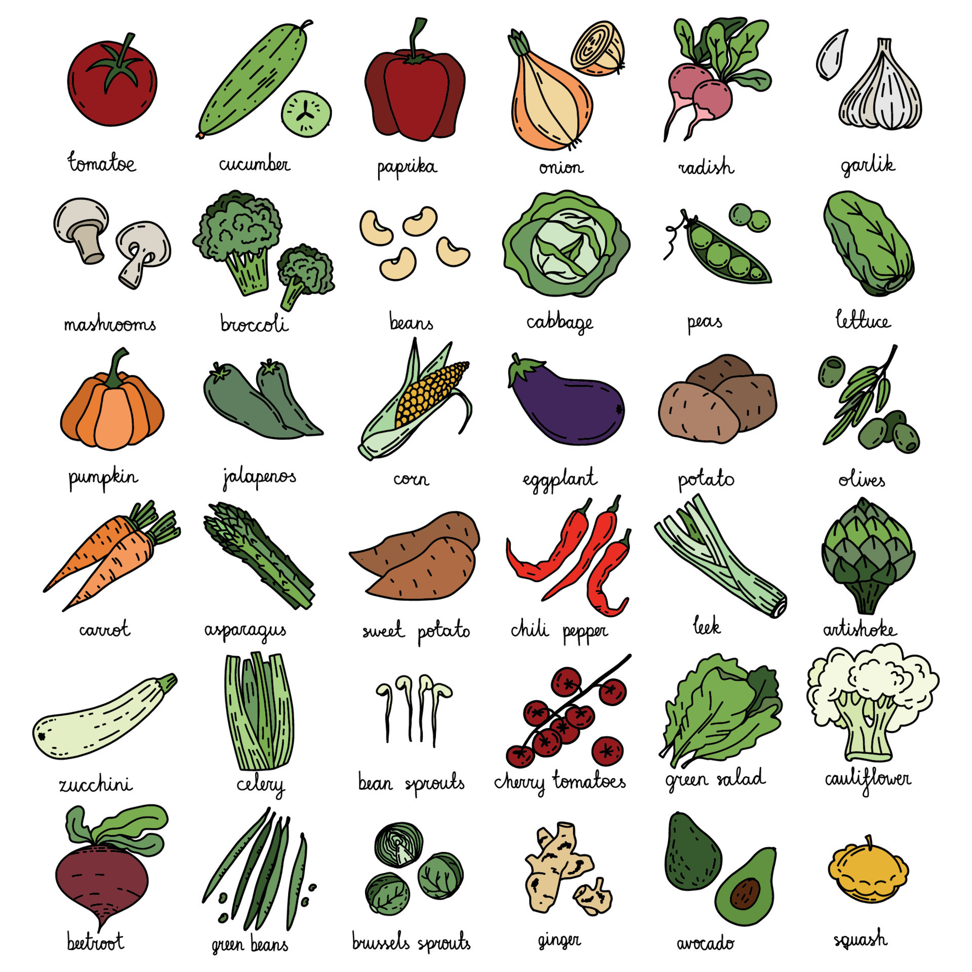 Drawing Fresh Green Organic Vegetable Lettuce Illustration PNG Images | PSD  Free Download - Pikbest