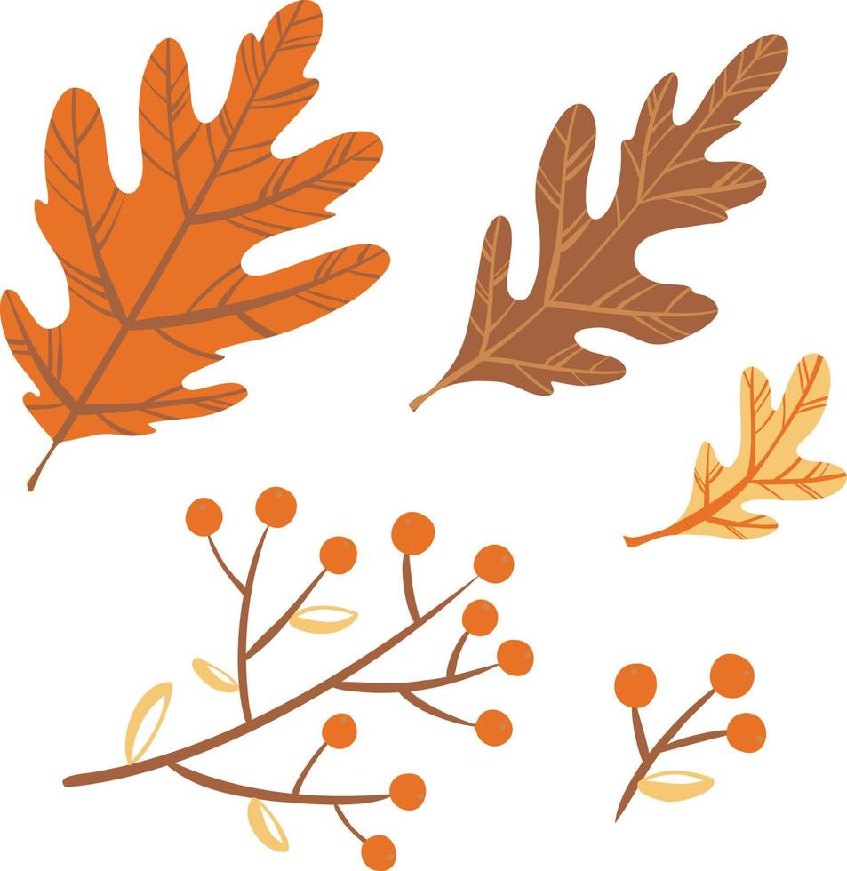 colección de hojas de otoño vectorial. conjunto de elementos gráficos botánicos de la temporada de otoño de septiembre, octubre. follaje de otoño brillante vector