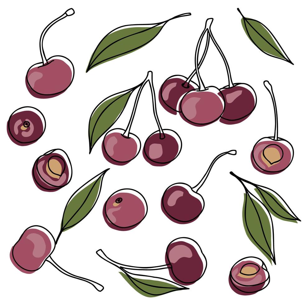 Vector Cherry set - sweet cherries, slice, half, whole, and leaves. Red and green abstract hand-drawn fruit collection with black outline isolated on white background.