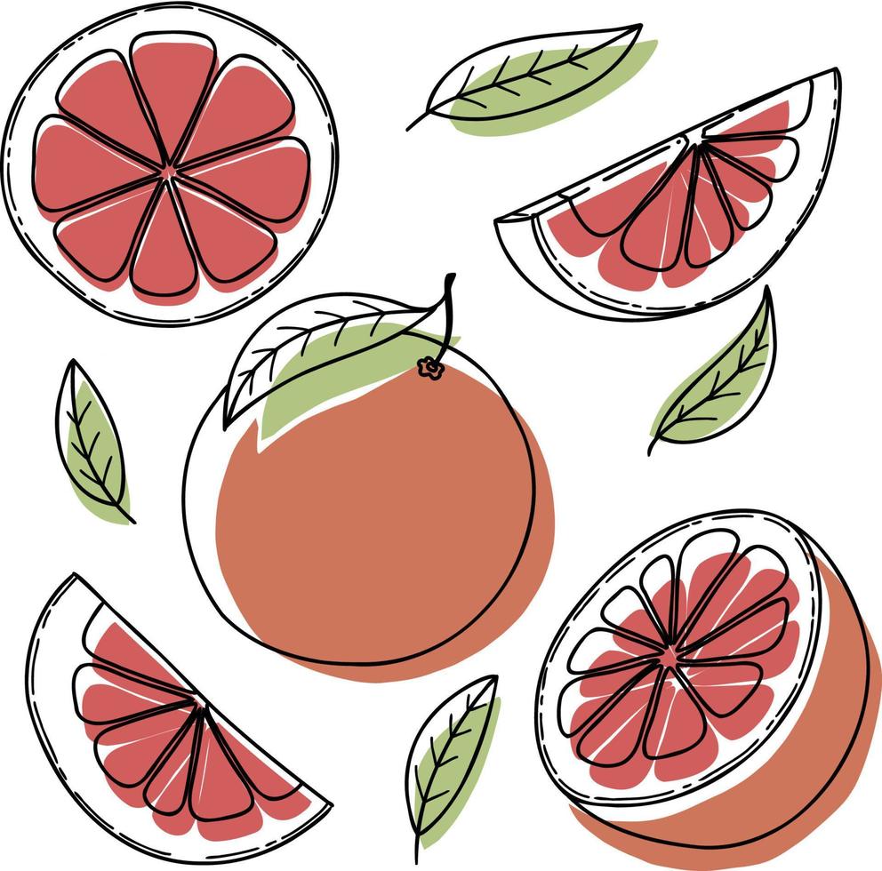 Vector grapefruit set - grapefruit, slice, half, whole, and leaves. Green abstract hand-drawn citrus collection with black outline isolated on white background.