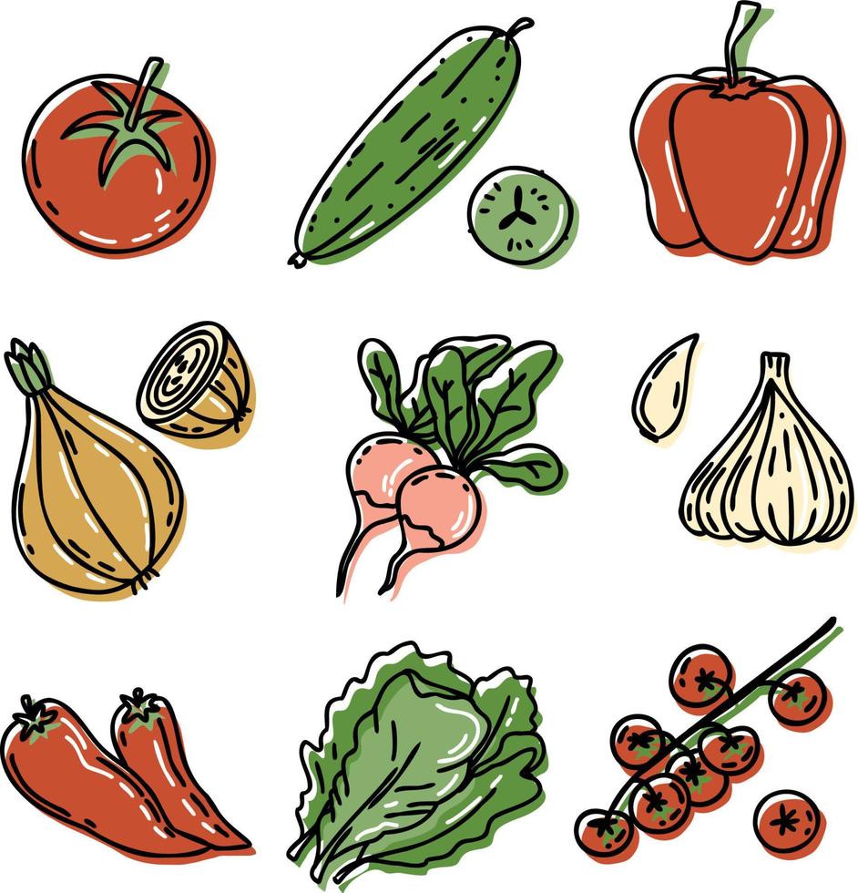 conjunto vectorial de verduras para ensalada - tomate, tomates cherry, pepinos, cebolla, ajo, rojizo, pimiento, hojas verdes. colección dibujada a mano con contorno negro aislado sobre fondo blanco vector