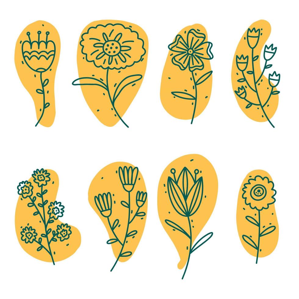 Flower graphic design. Vector set of floral elements with hand drawn flowers on yellow stains