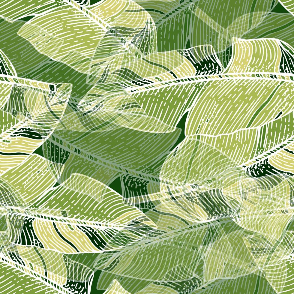 patrón abstracto sin fisuras de hoja de plátano. grabado de fondo botánico de camuflaje. vector