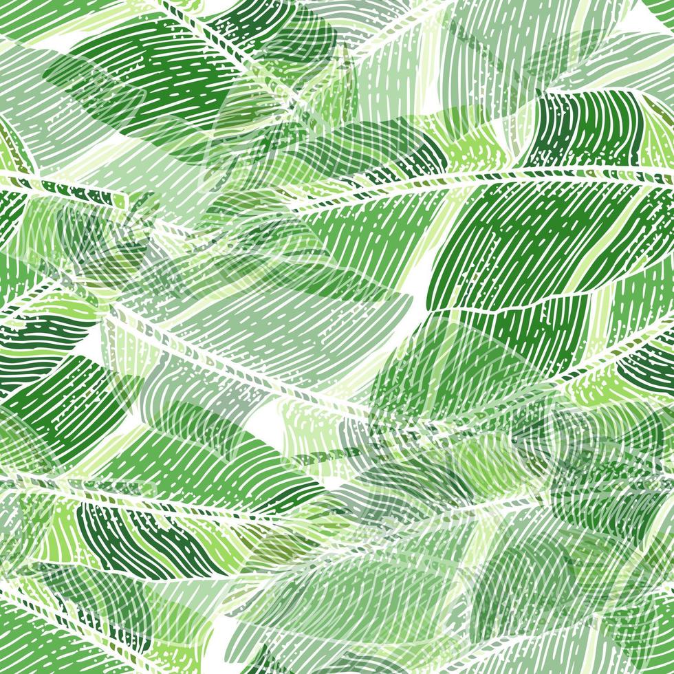 patrón abstracto sin fisuras de hoja de plátano. grabado de fondo botánico de camuflaje. vector