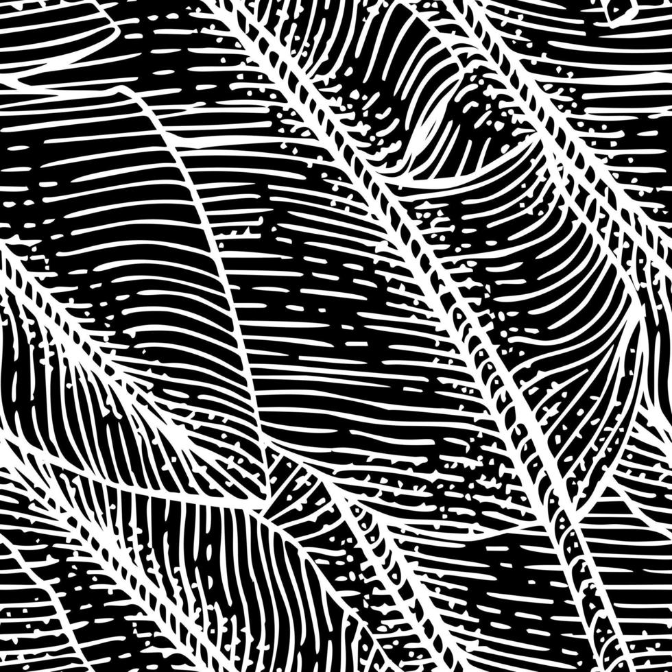 Banana leaf engraving seamless pattern monochrome. Retro tropical leaves in hand drawn style. vector