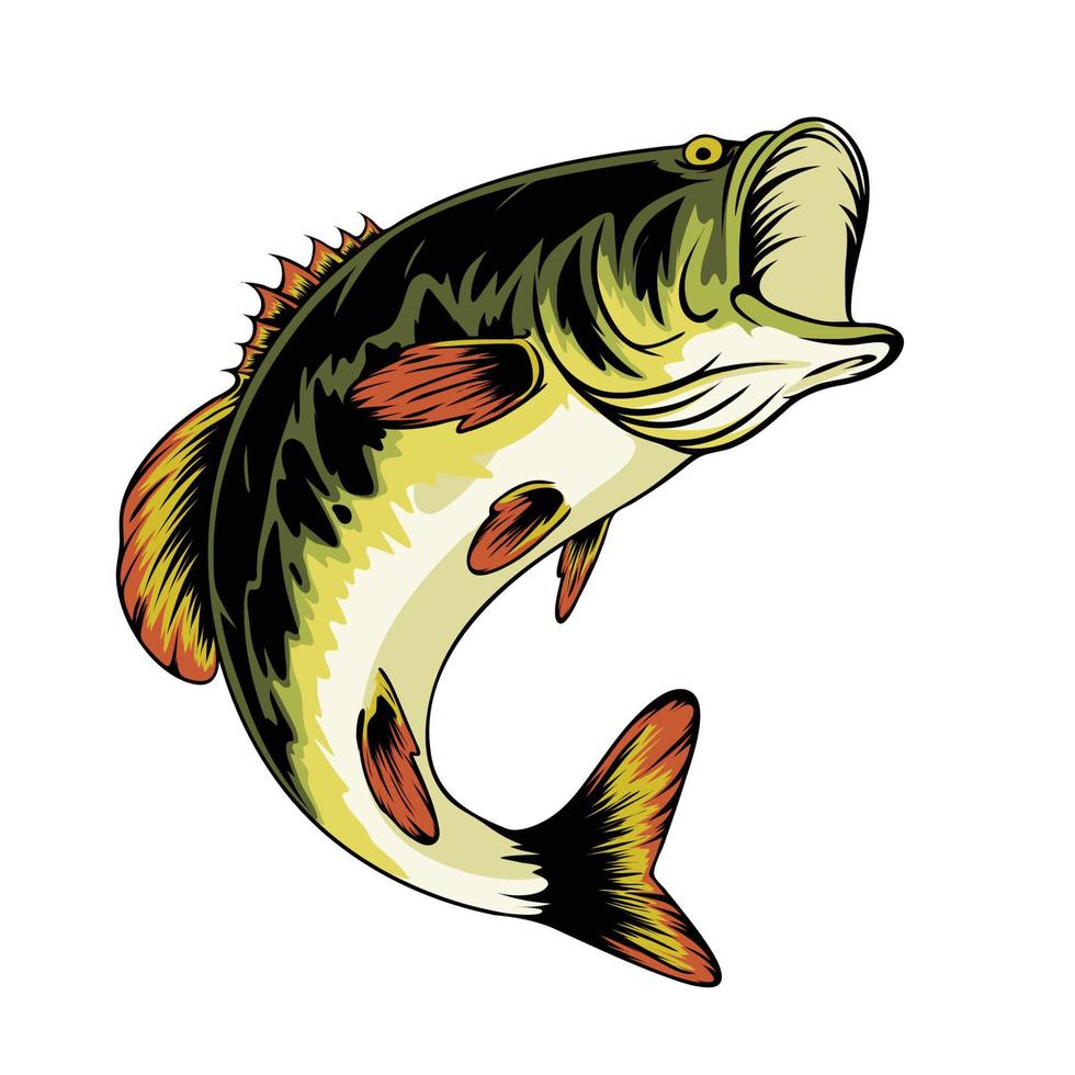 Fishing Bass Fish Vector Png Images Vector Illustration Of Bass Fish