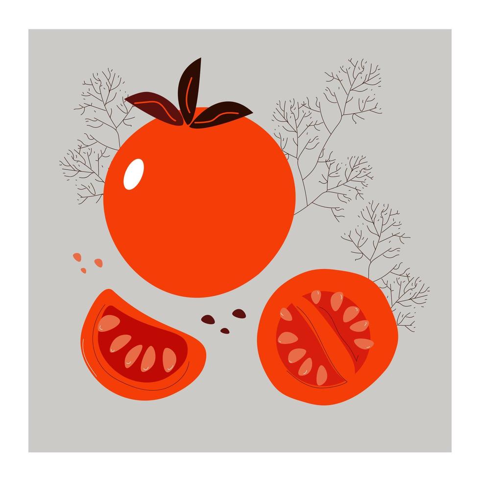 tomate rojo, vegetal dibujado a mano aislado sobre fondo blanco. esbozar la colección de vectores de estilo doodld.