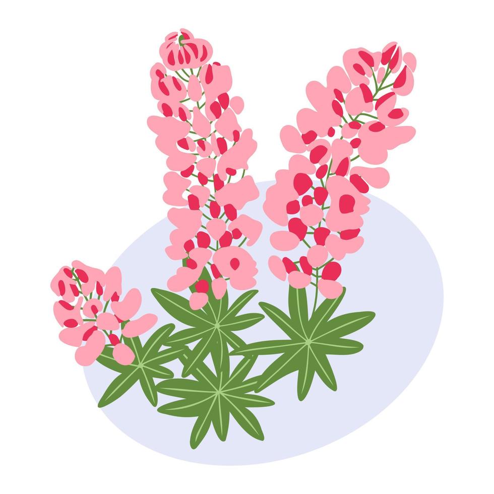 Pink lupine color flower and leaves flat simple abstract blossom flowers on spot background vector illustration