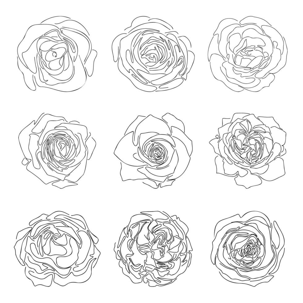 Hand drawn line sketch of roses, simple abstract flowers doddle collection for frame pattern logo floral design vector illustration