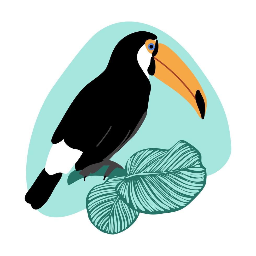 Summer card with toucan and calathea leaves on abstract spot background, tropical exotic bird with big beak and green jungle leaves vector illustration