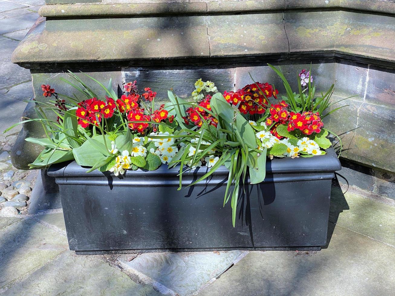Flowers in a tub photo