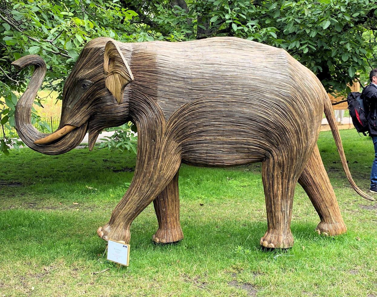 London in the UK in July 2021. A view of some Wooden Elephants in a park in London photo