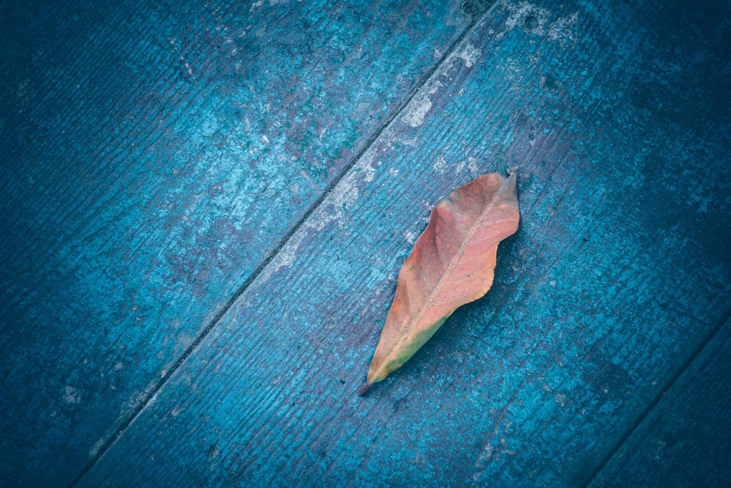 Top view of Autumn Leave over rustic wooden table background with Copy space photo