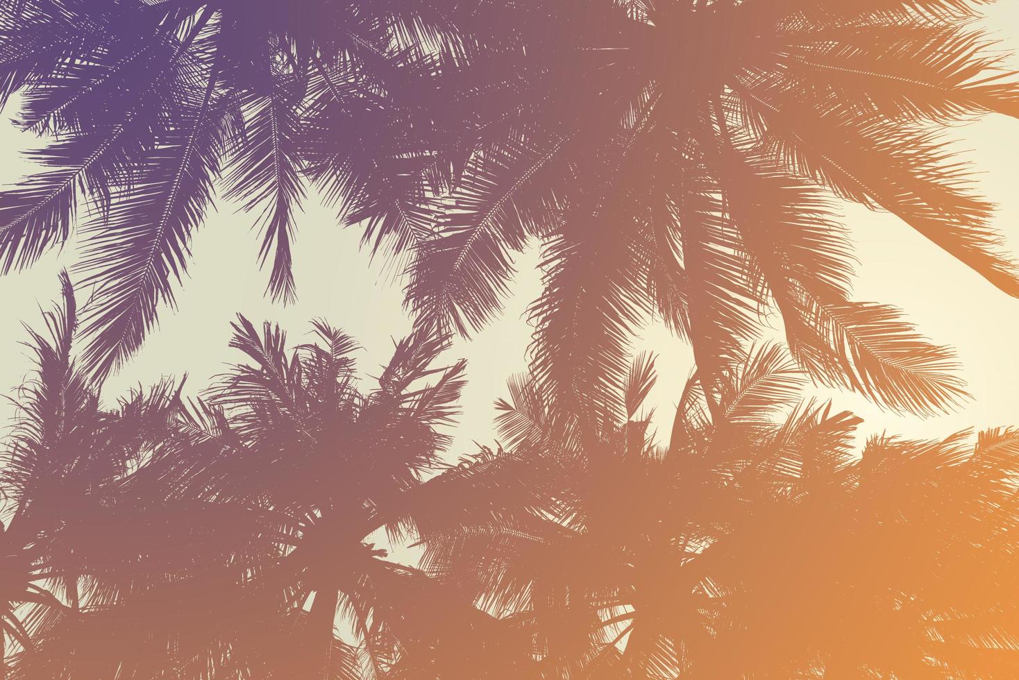 Silhouette of coconut tree - Vintage Tones photo
