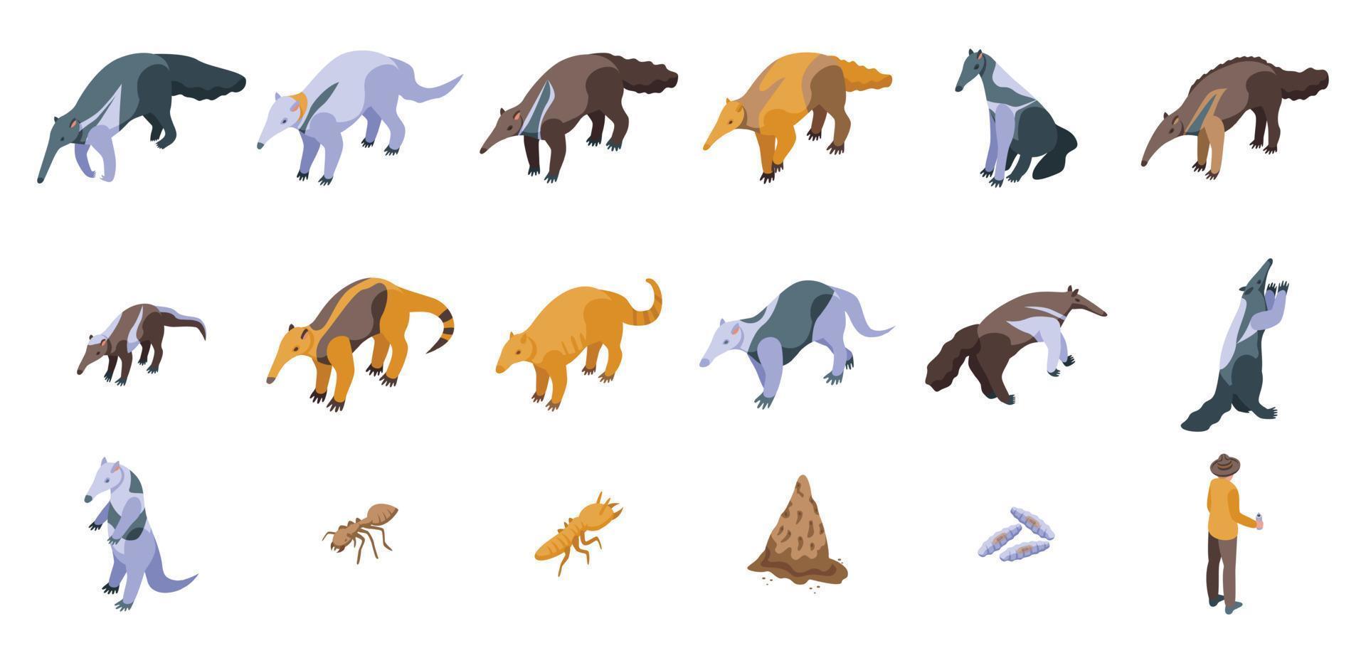 Anteater icons set isometric vector. Animal ant vector