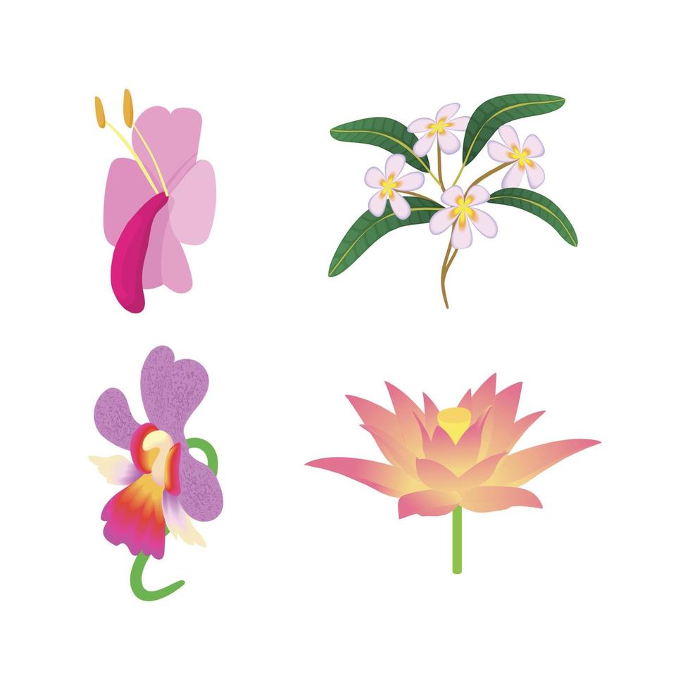 Exotic flower icon set, cartoon style vector