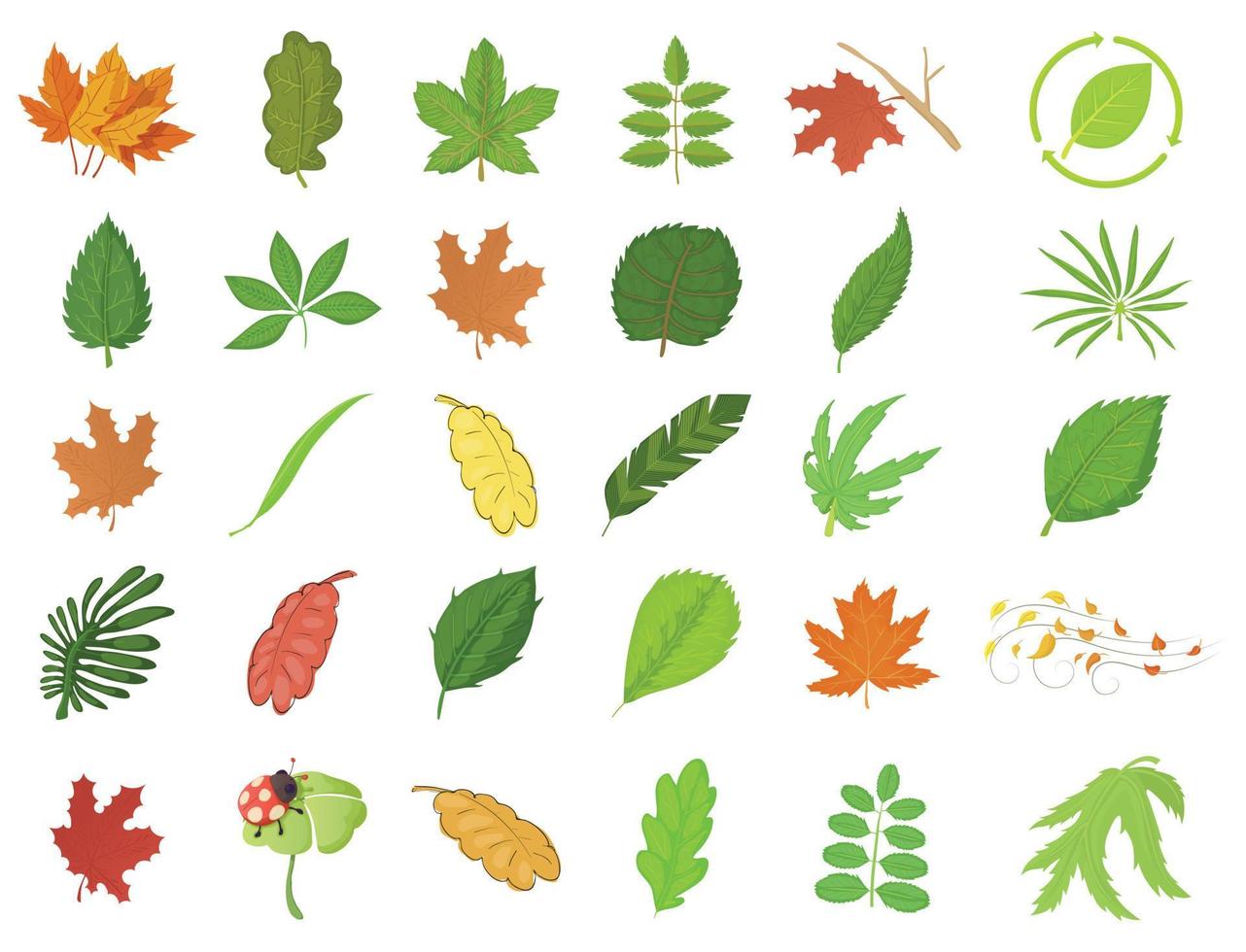 Leaf icon set, cartoon style vector