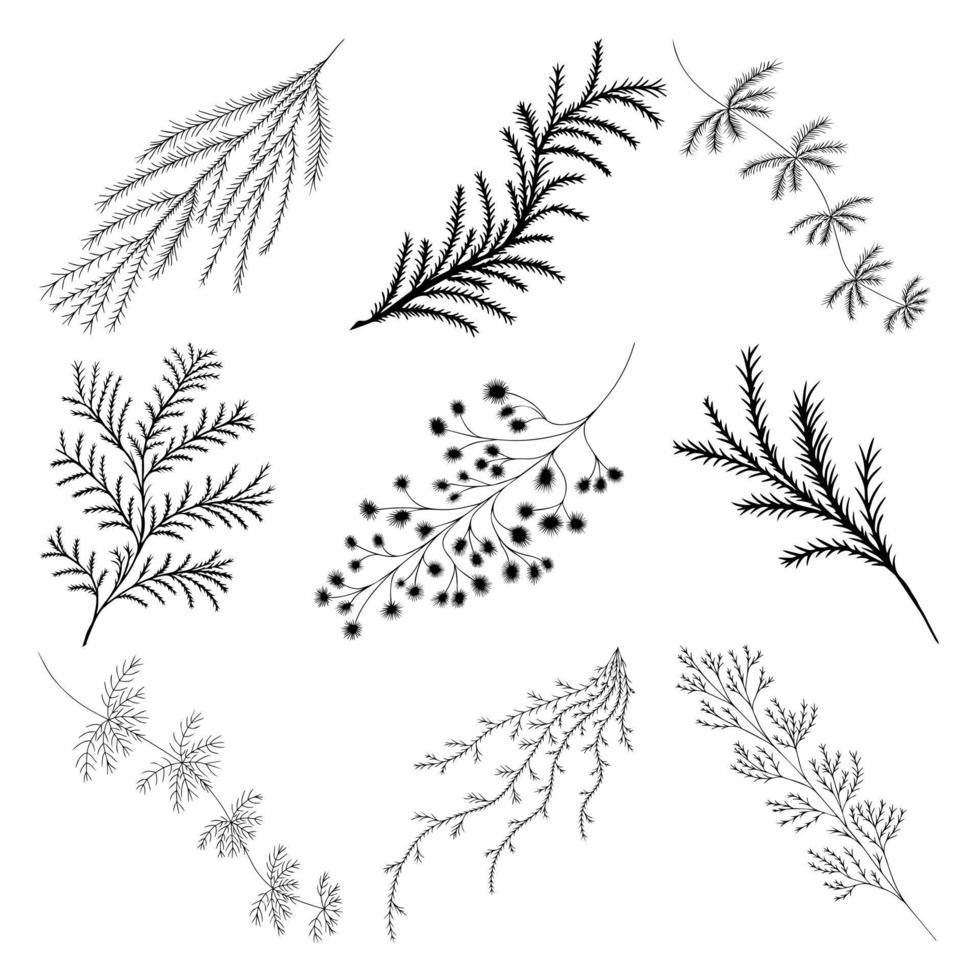 Set of Branches of a tree with Pine Needles vector