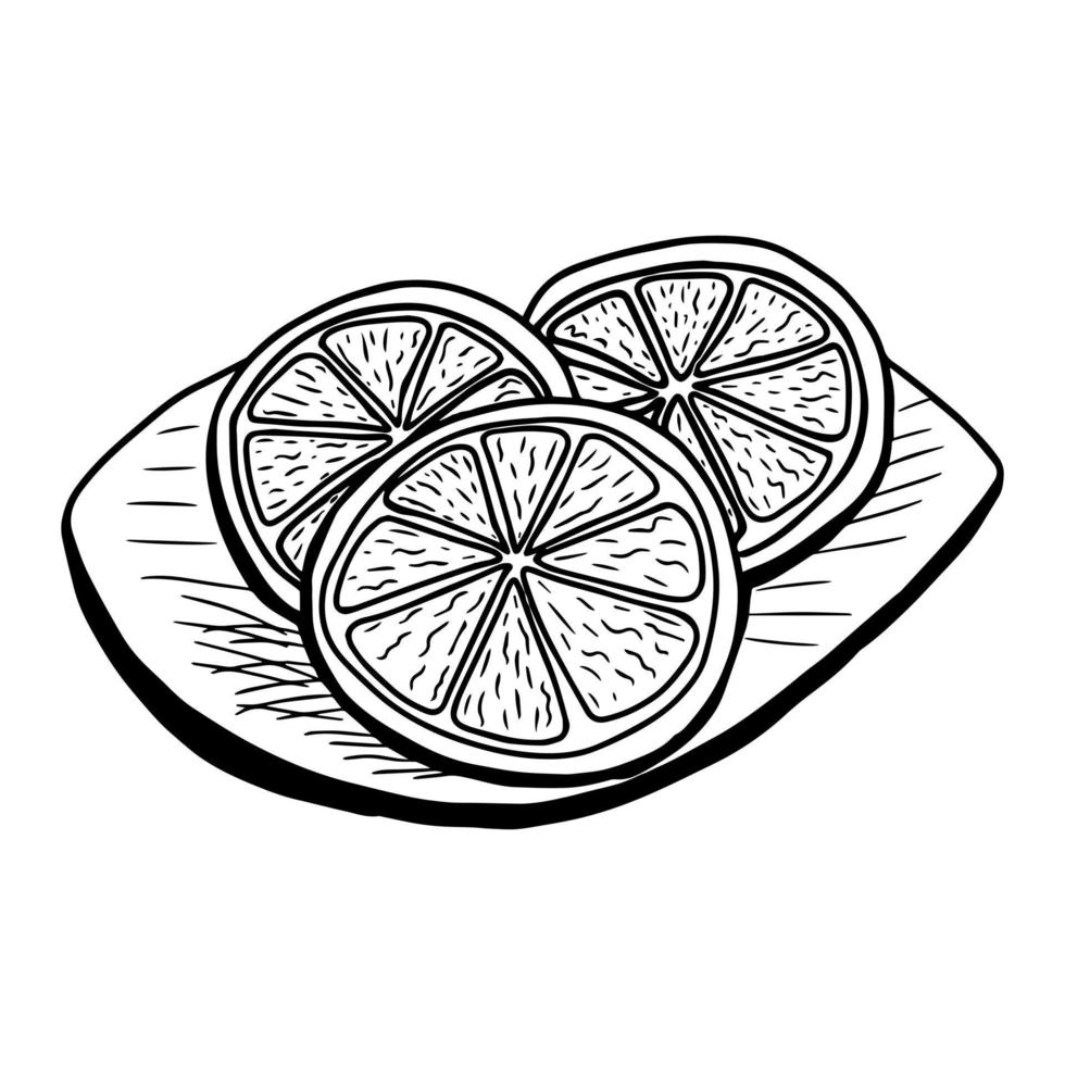 Group of three hand drawn lemon slices on a wooden board. Isolated black on white elements for design vector